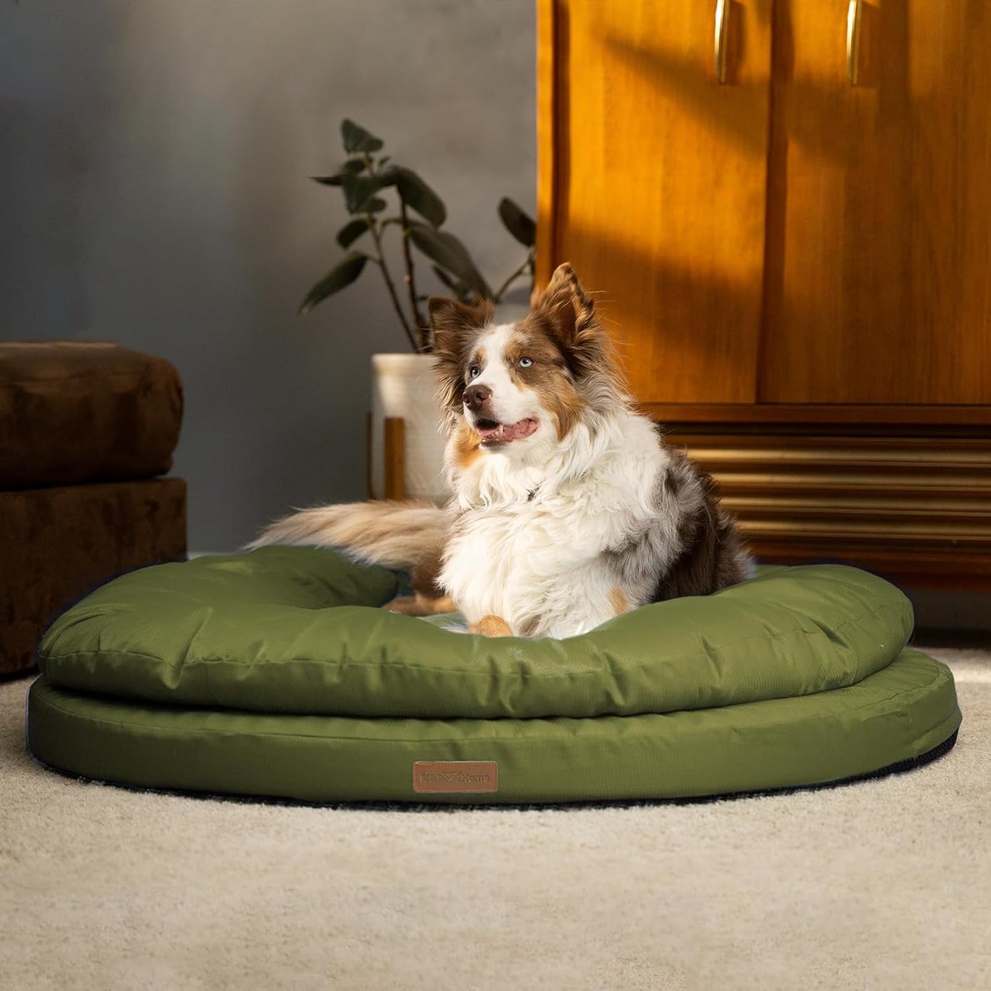 Orthopedic Dog Bed for Large Dogs