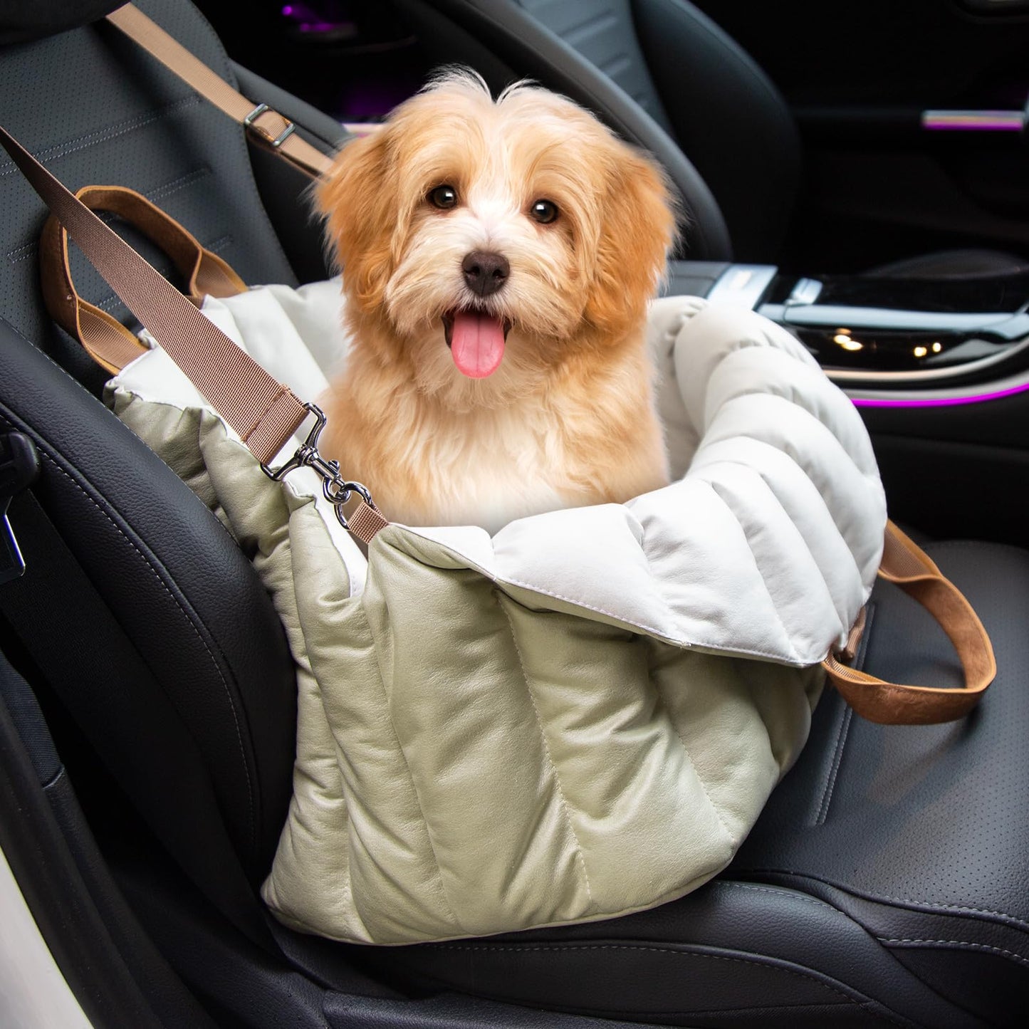 Small Dog Car Seat & Travel Carrier & Pet Bed