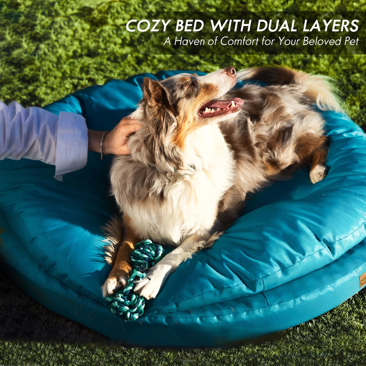 Orthopedic Dog Bed for Large Dogs