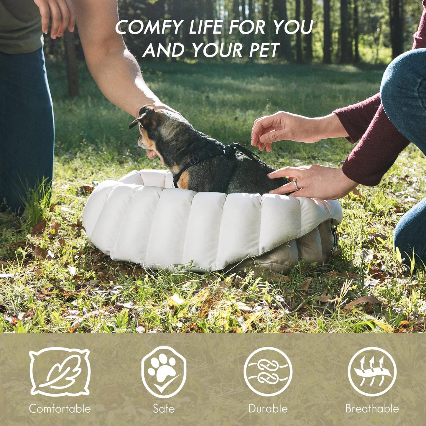 Small Dog Car Seat & Travel Carrier & Pet Bed