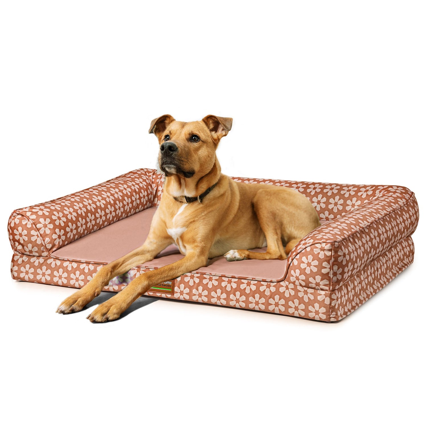 Dog supplies