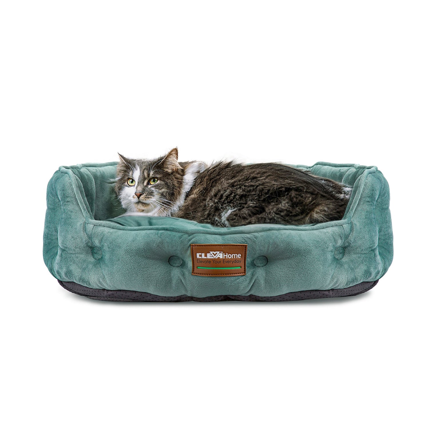 Cat supplies