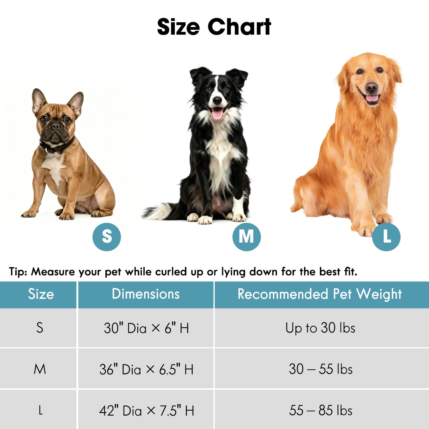 Orthopedic Round Double-Layer Plush Ice Blue Dog Bed