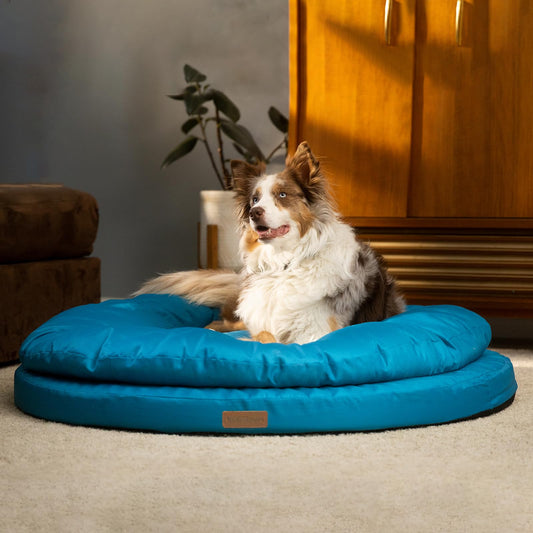 Orthopedic Dog Bed for Large Dogs