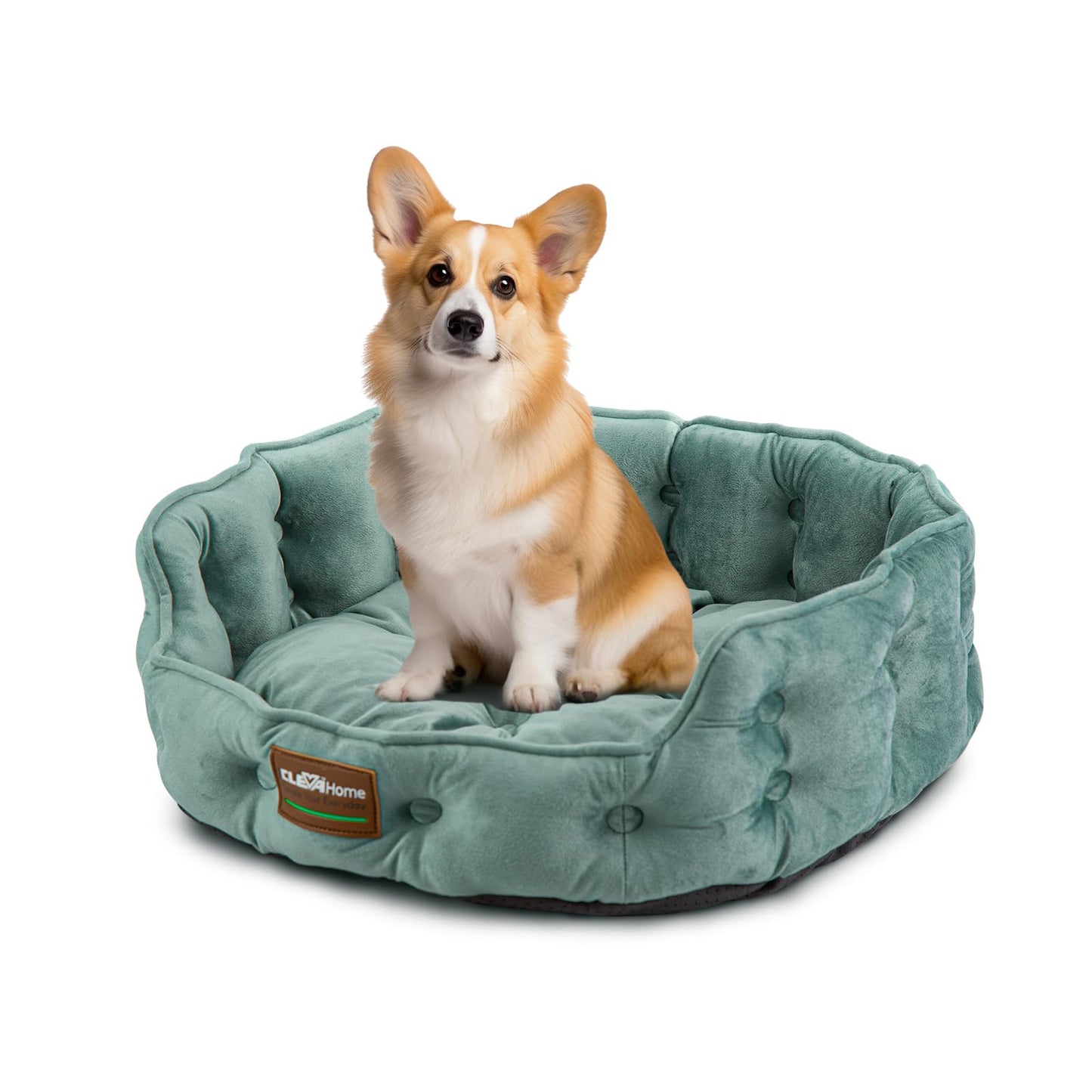 Round Cat Beds