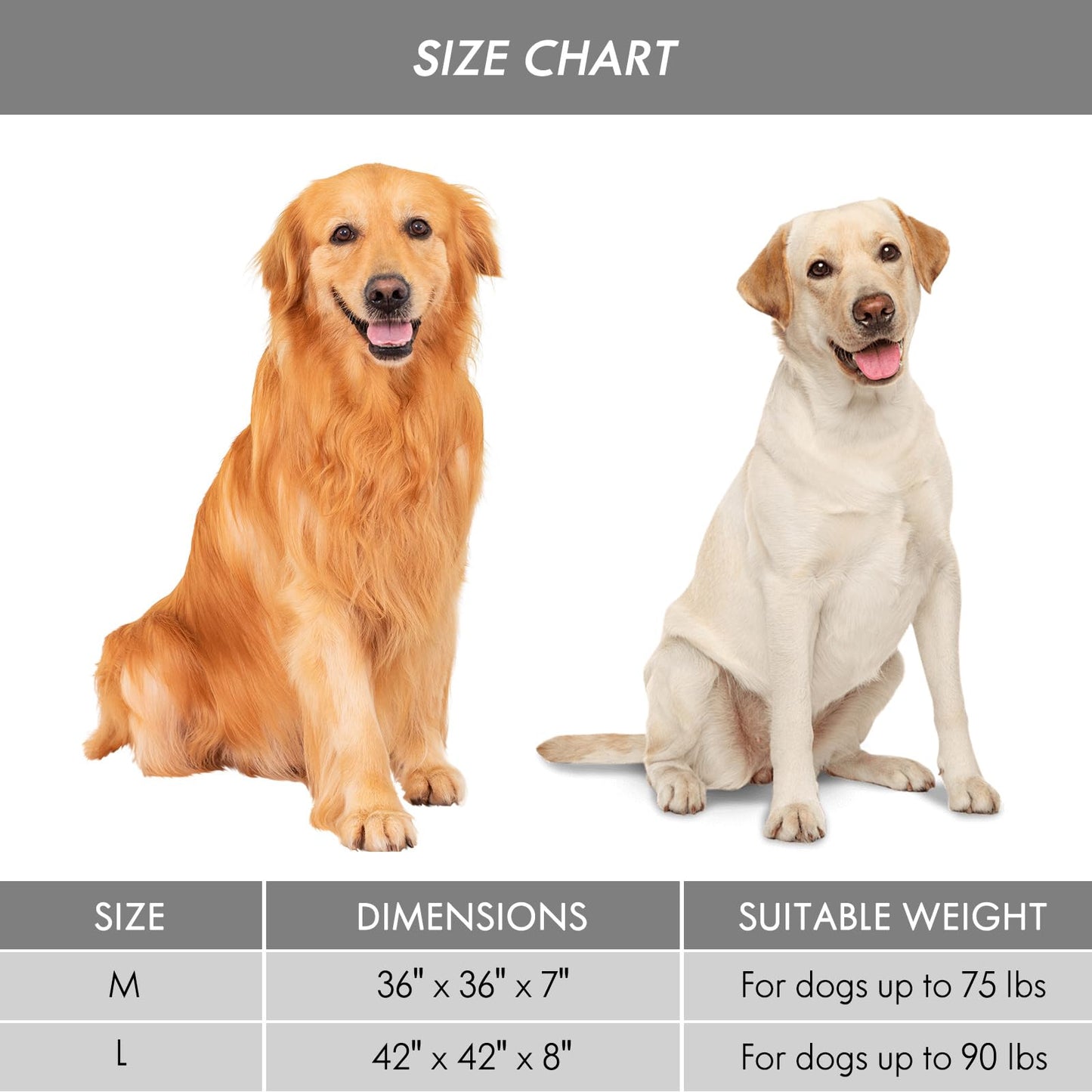 Orthopedic Dog Bed for Large Dogs
